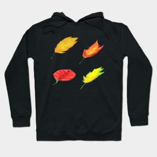 Fall Leaves (Black Background) Hoodie